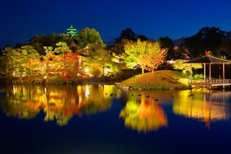 後楽園　秋　夜景